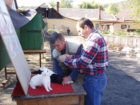 Zamerané na detaily